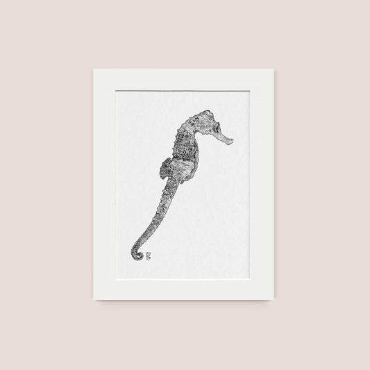 Seahorse Black & White print