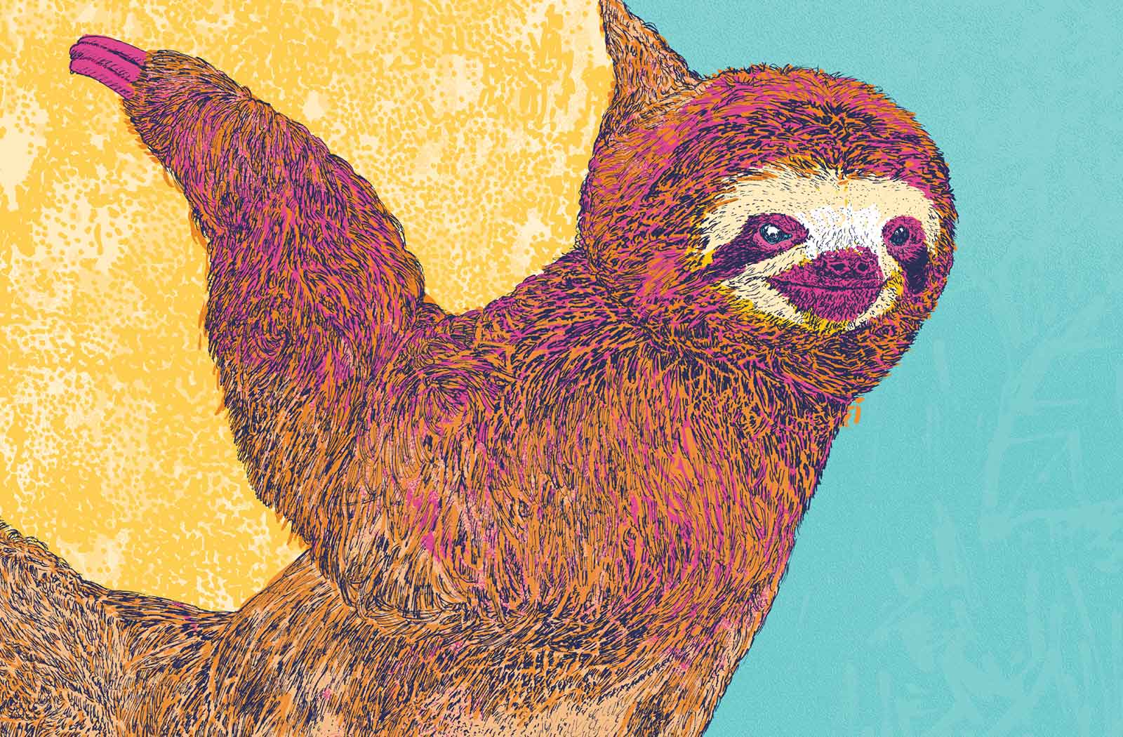 Image of a happy Sloth