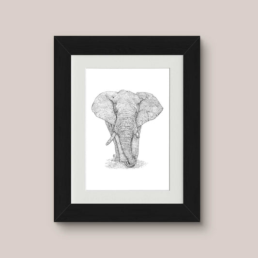 Elephant Black & White print - Bejojoart