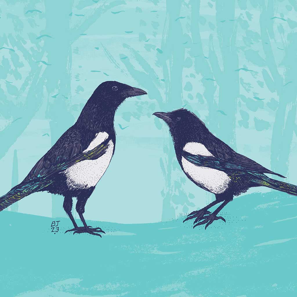 Magpies - Two for joy - Bejojoart