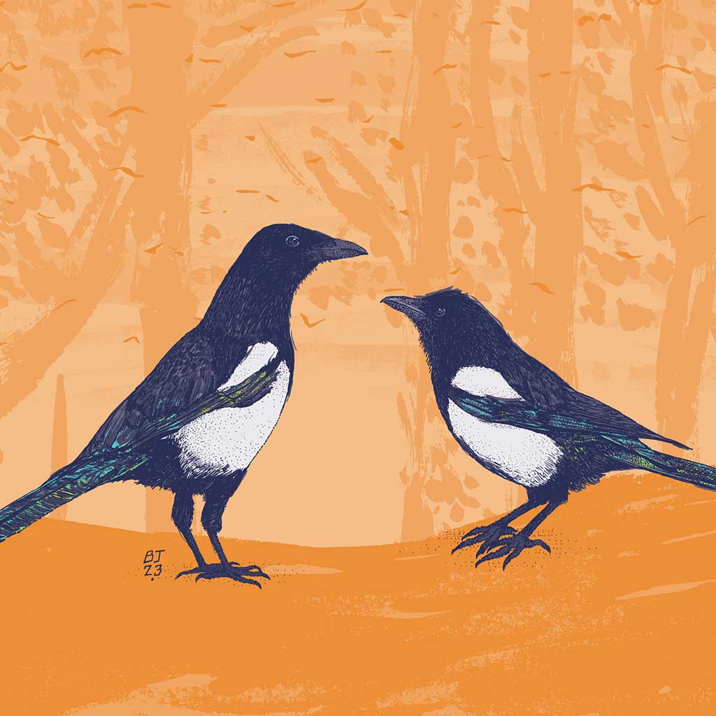 Magpies - Two for joy - Bejojoart