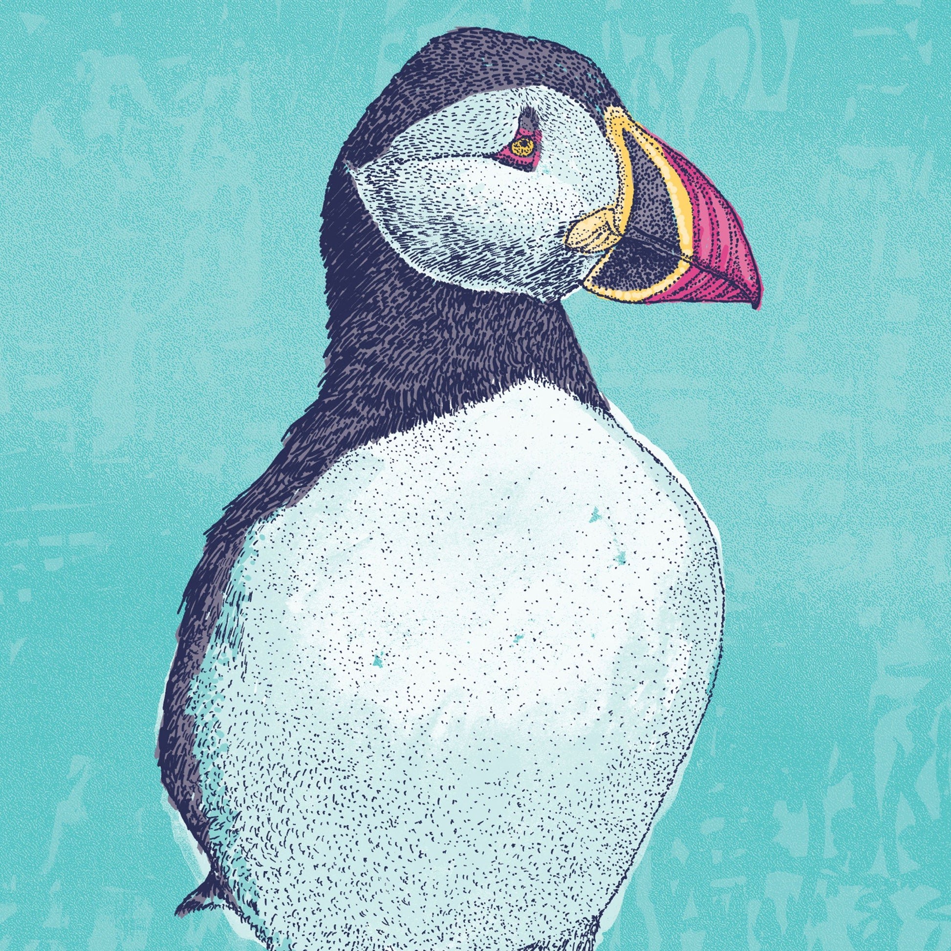 Puffin - Bejojoart