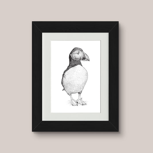 Puffin Black & White print - Bejojoart