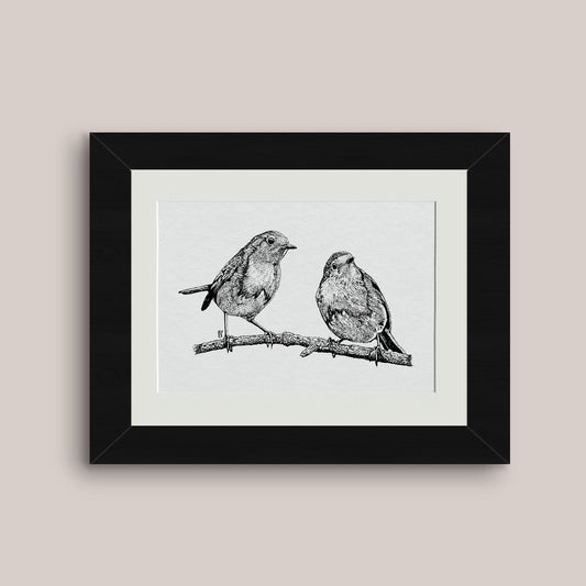 Detailed mounted black and white pen drawing print of two robins, black frame