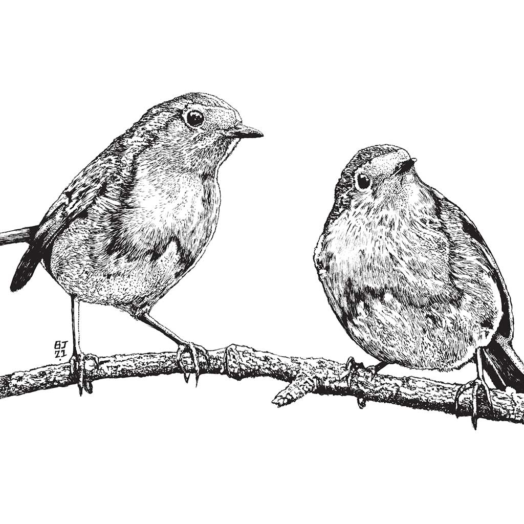 Robins Black & White print - Bejojoart