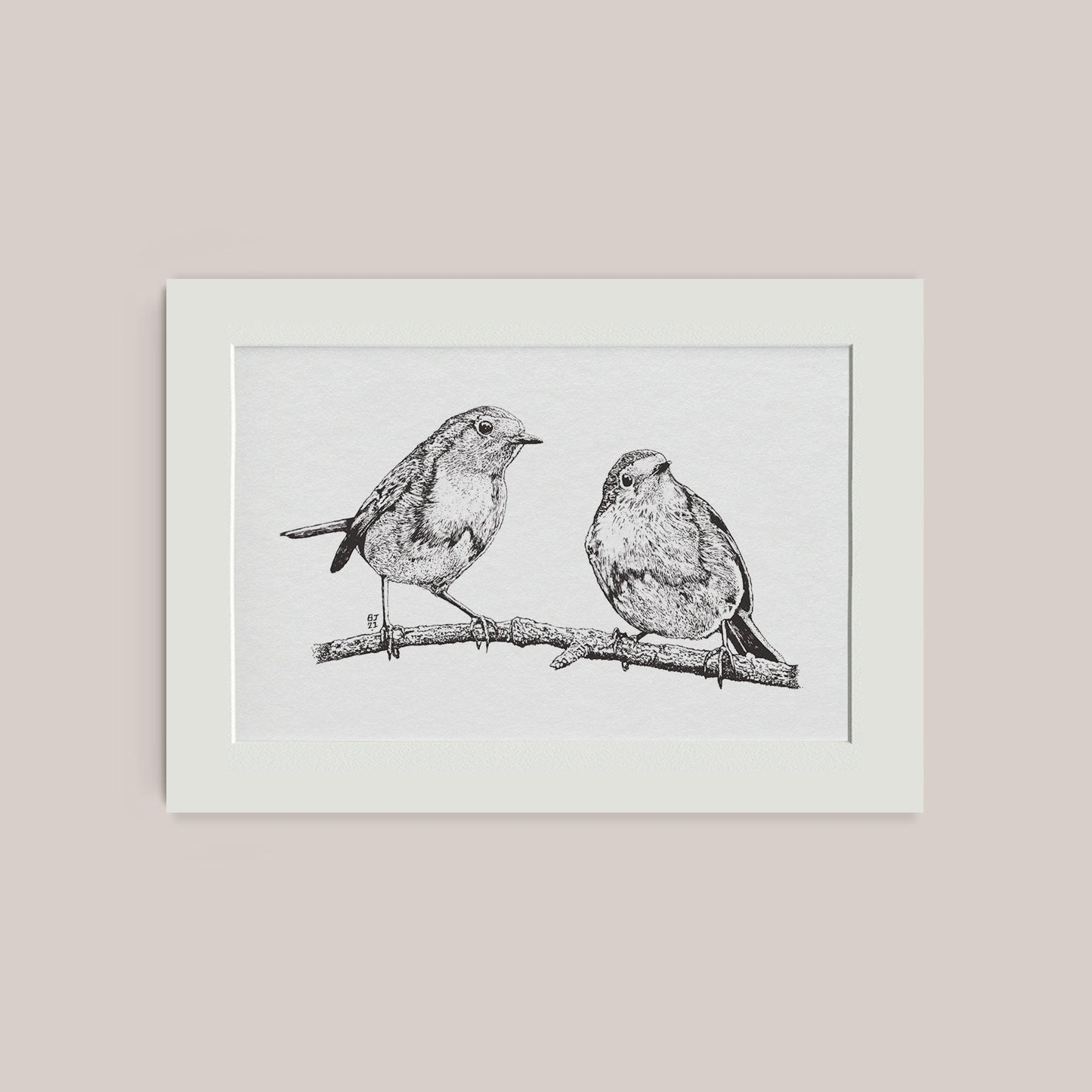 Robins Black & White print - Bejojoart