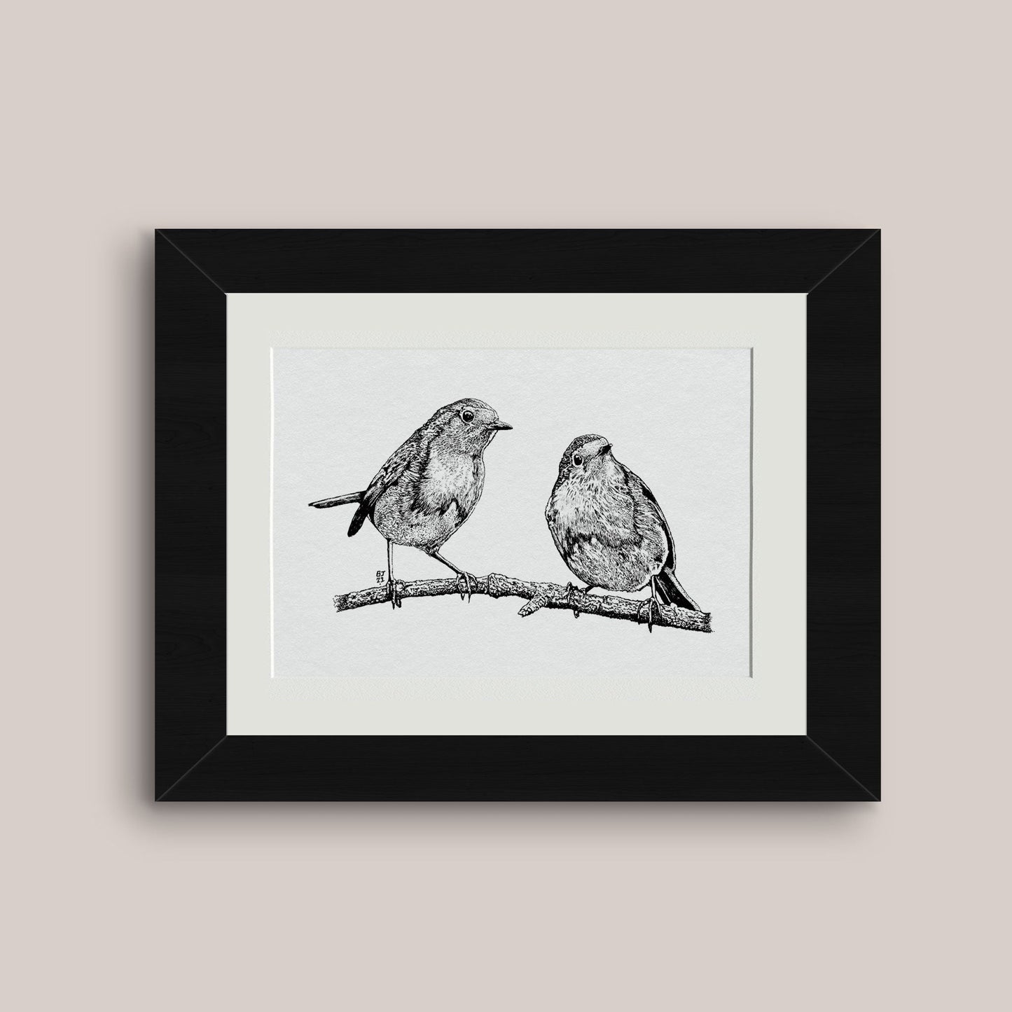 Robins Black & White print - Bejojoart