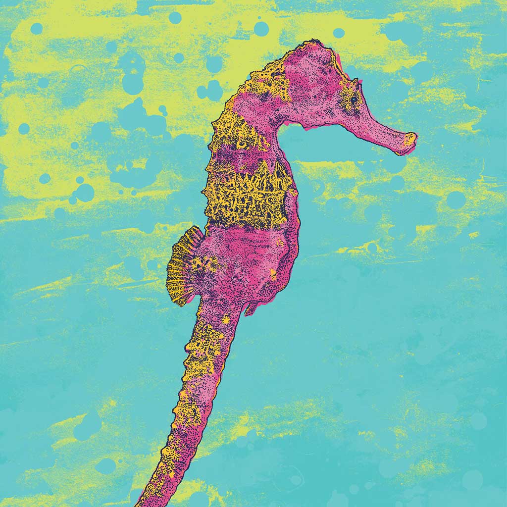 Seahorse - Bejojoart