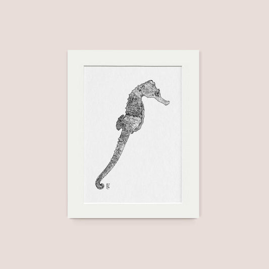 Seahorse Black & White print - Bejojoart